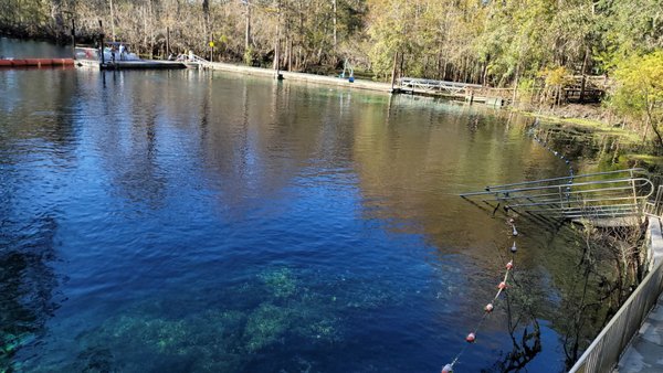 Fanning Springs State Park by null