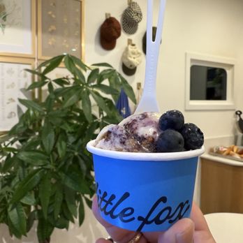 Little Fox Cups & Cones - Maine Course - Ice Cream & Frozen Yogurt Near Me - Oceanside, California