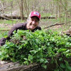 Nine Mile Run Watershed Association - An Urban EcoSteward poses with a pile of uprooted garlic mustard in Frick Park.