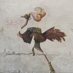 Ostrich