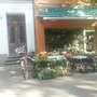 Photo of Blumiger Garten