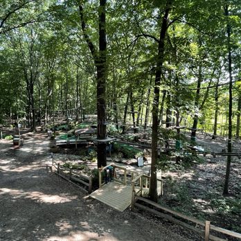 Tree Runner Adventure Park - Challenge Courses Near Me - West Bloomfield, Michigan Tree Runner Adventure Park - Challenge Courses Near Me - West Bloomfield, Michigan