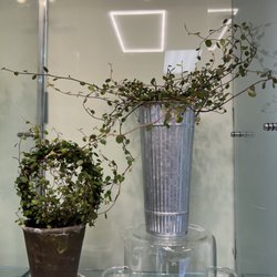 The Bloom Beautique