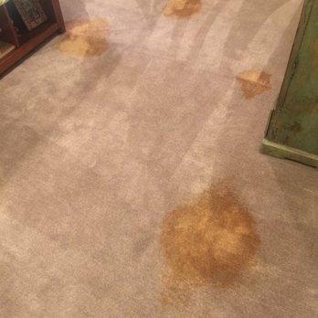 Orange Coast Chem-Dry - This is the what they did to my new carpet that had minuet spots... have lots more photos of the rest of the room... - Carpet Cleaning Near Me - Newport Beach, California Orange Coast Chem-Dry - This is the what they did to my new carpet that had minuet spots... have lots more photos of the rest of the room... - Carpet Cleaning Near Me - Newport Beach, California