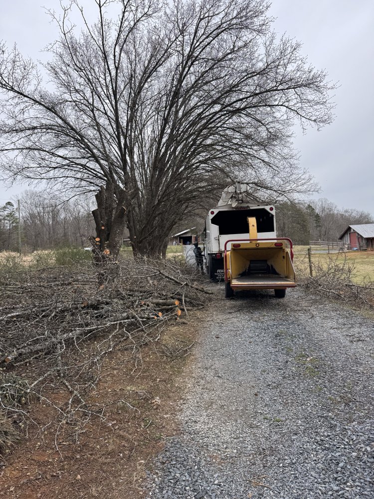 TOP NOTCH TREE SOLUTIONS - Updated June 2026 - Request a Quote - Denton ...