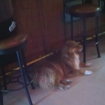 The Timbers Saloon - One of the locals hanging out in Timbers Bar - Dive Bars Near Me - Carson City, Nevada The Timbers Saloon - One of the locals hanging out in Timbers Bar - Dive Bars Near Me - Carson City, Nevada