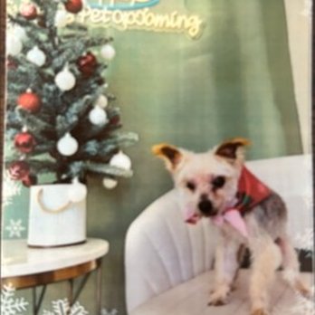 Sylvia's Pet Care - After Sylvias wonderful job. - Pet Groomers Near Me - Niles, Illinois