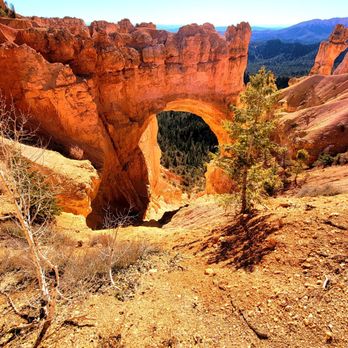 Natural Bridge - Landmarks & Historical Buildings Near Me - Bryce, Utah