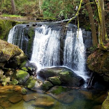 Whatcom Falls Park - Whatcom Falls. Stunning - Dog Parks Near Me - Bellingham, Washington