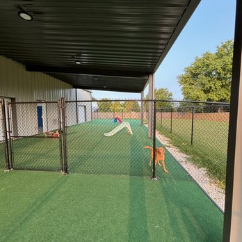Waggers - Pet Groomers Near Me - Fayetteville, Arkansas Waggers - Pet Groomers Near Me - Fayetteville, Arkansas