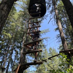 Tree to Tree Adventure Park - Black