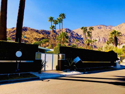 Palm Springs Mod Squad (Architecture Tours) by null