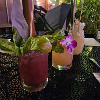 Skull & Crown Trading - Great tiki drinks - Tiki Bars Near Me - Honolulu, Hawaii Skull & Crown Trading - Great tiki drinks - Tiki Bars Near Me - Honolulu, Hawaii
