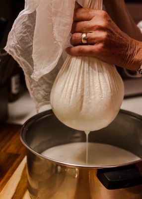 Fox & Bear Lodge by null