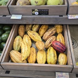 Kualoa Grown - $3 cacao pods for sale but no way to open them. August 2025