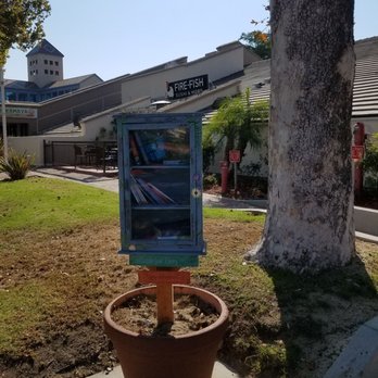 Fire Fish Sushi and More - Book exchange - Sushi Bars Near Me - Temecula, California Fire Fish Sushi and More - Book exchange - Sushi Bars Near Me - Temecula, California