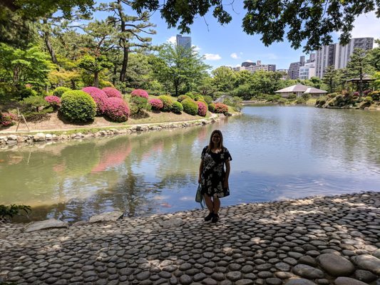 Shukkeien Garden by null