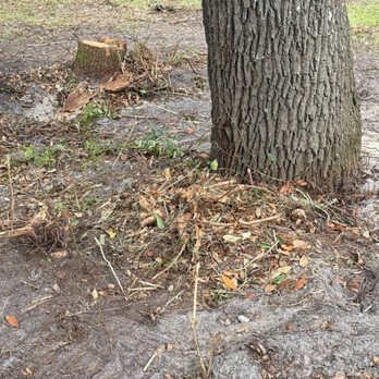 Green Sweep Pro Services - Lawn Services Near Me - Ocala, Florida Green Sweep Pro Services - Lawn Services Near Me - Ocala, Florida