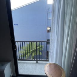 My courtyard view