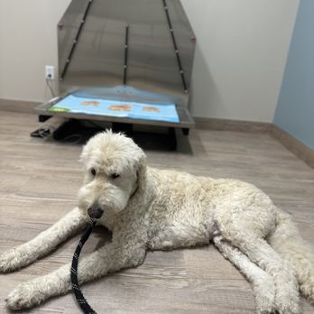 Sandbridge Veterinary Center - Clean pristine facility - Pet Boarding Near Me - St. Augustine, Florida