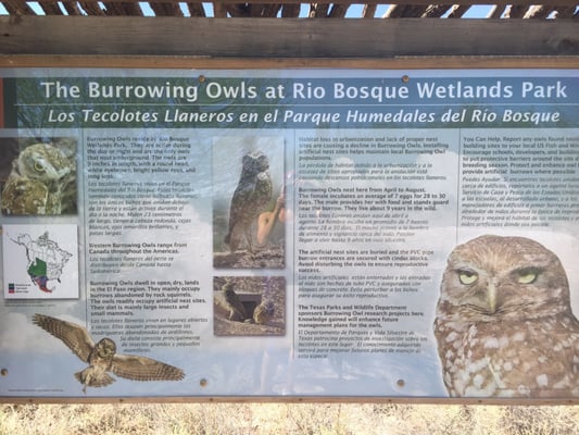 Rio Bosque Park by null