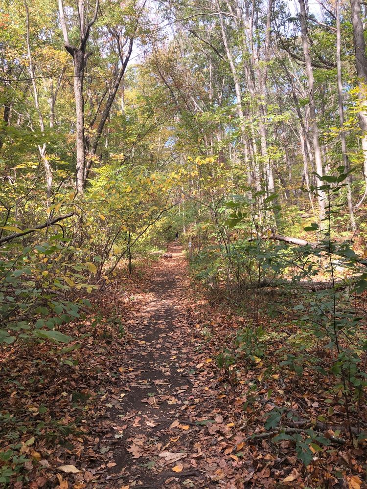 LIME ROCK NATURE PRESERVE 85 Photos & 10 Reviews Wilbur Rd, Lincoln