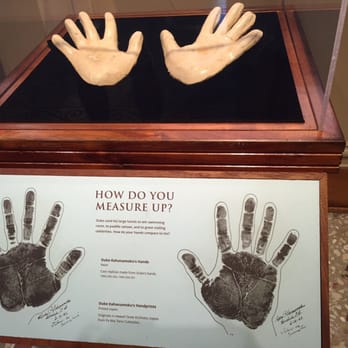 Bishop Museum - You can see how you measure up to the Duke... His hands were powerful and helped his swimming strokes - Museums Near Me - Honolulu, Hawaii