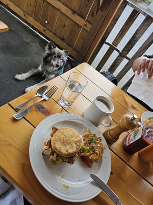 Toast by null