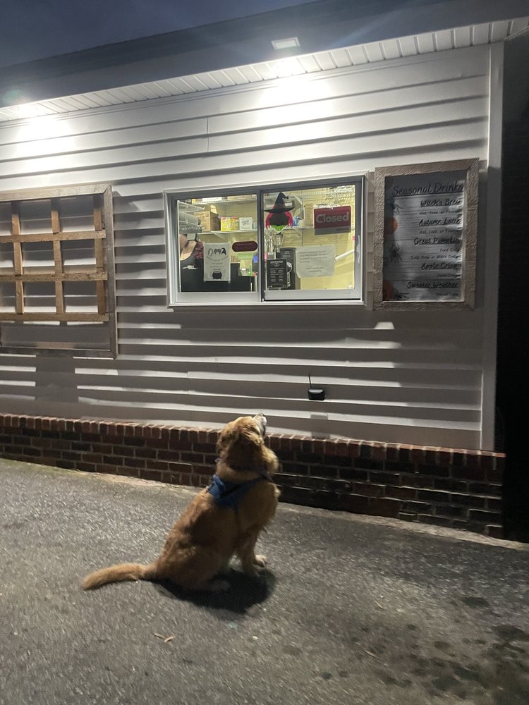 EDITIONS COFFEE SHOP AND BOOK STORE 23 Photos & 17 Reviews 217 S