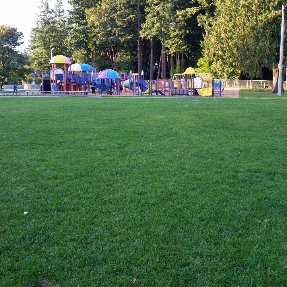Forest Park - The big playground - Parks Near Me - Everett, Washington Forest Park - The big playground - Parks Near Me - Everett, Washington