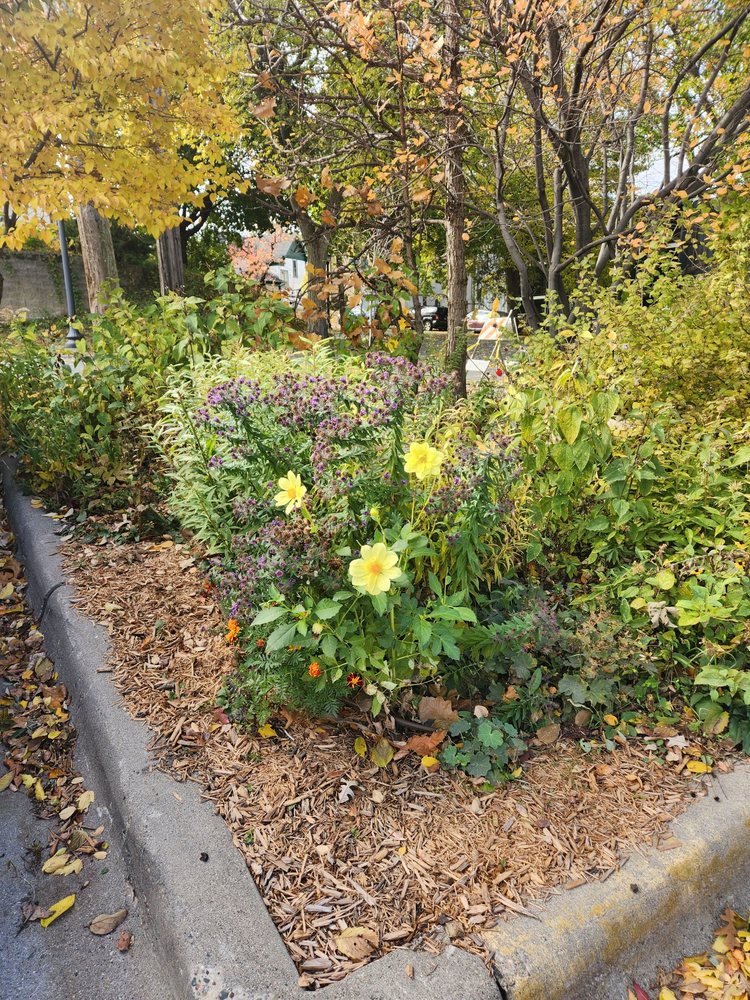 Textile Center - social services organization in Minneapolis, MN