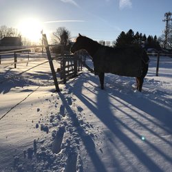 Hillside Stable