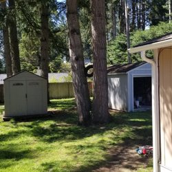 Andy's Tree Services - Tight space with 5 trees around the house and sheds.