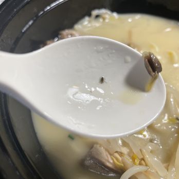 Tomo 68 - Worm in soup - Asian Fusion Near Me - Naugatuck, Connecticut