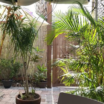 Cafe Verde - Imported Food Near Me - New Smyrna Beach, Florida