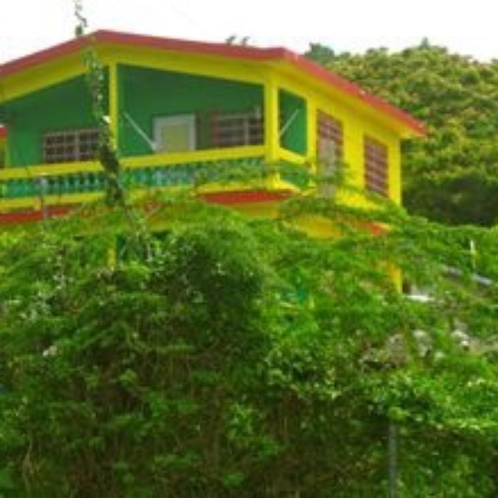 Casa del Parque - the second story studio - Guest Houses Near Me