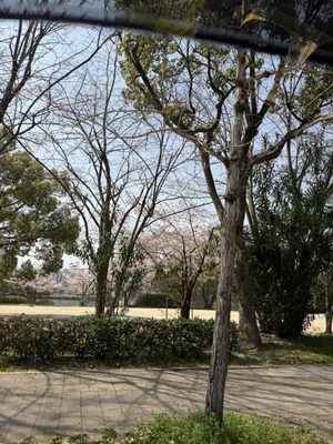Hiroshima Castle by null