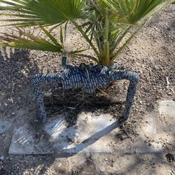 Blue Collar Backflow