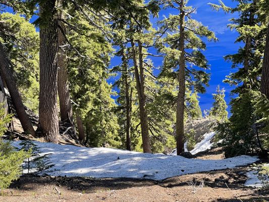 Crater Lake by null