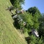 Photo of Thurau Total Lawn And Landscape