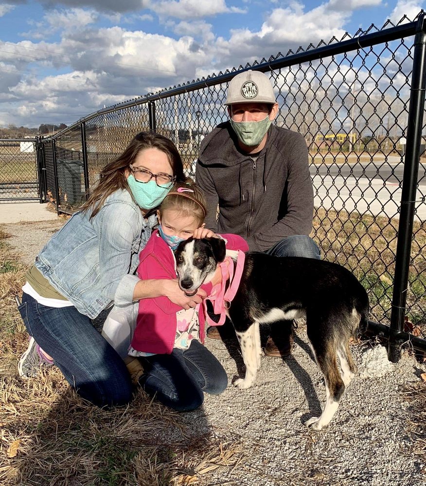 DOGS BY DEBIN Updated October 2024 20 Photos & 14 Reviews 2312 NW