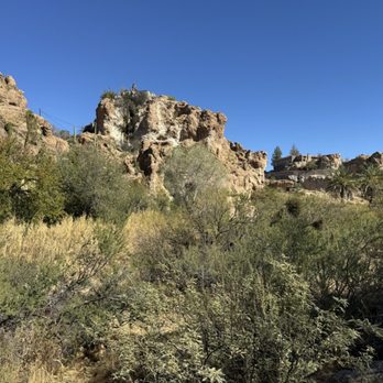 Boyce Thompson Arboretum - Botanical Gardens Near Me - Superior, Arizona