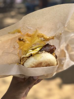 The Marylander by null