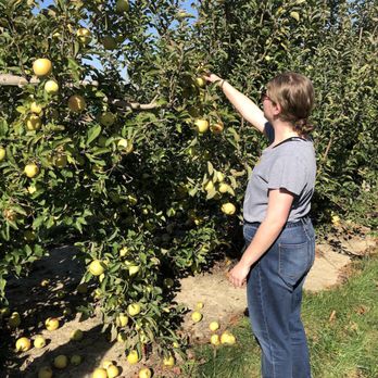 Tuttle Orchards - We picked lots of apples to take home - Fruits & Veggies Near Me - Greenfield, Indiana Tuttle Orchards - We picked lots of apples to take home - Fruits & Veggies Near Me - Greenfield, Indiana