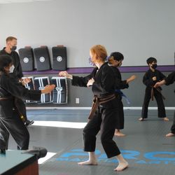 Barron Martial Arts - Advanced class
