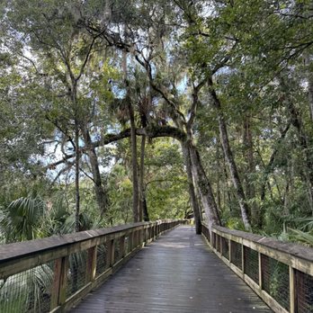 Blue Spring State Park - Parks Near Me - Orange City, Florida