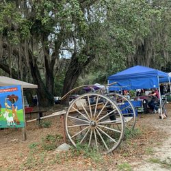 Temple Terrace Farmers Market - Upon entry into the market