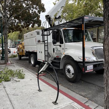 Arborland Tree Service - Tree Services Near Me Arborland Tree Service - Tree Services Near Me