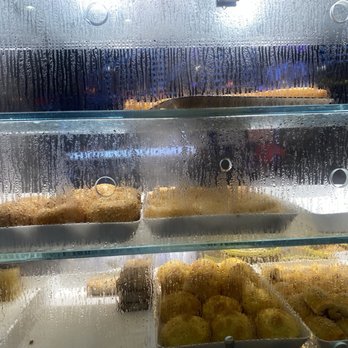 Royal Queen Restaurant - Dim Sum Near Me - Flushing, New York
