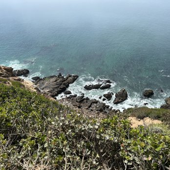 Point Dume Cove Trail - A view below! - Hiking Near Me - Malibu, California Point Dume Cove Trail - A view below! - Hiking Near Me - Malibu, California